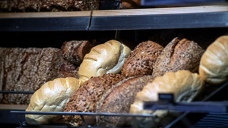 Brot.jpeg       -  In Brot, Backwaren und anderen Lebensmitteln können sich Brotkäfer einnisten. Doch wie wird man die Tierchen schnell wieder los?