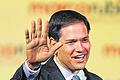 Senator Marco Rubio