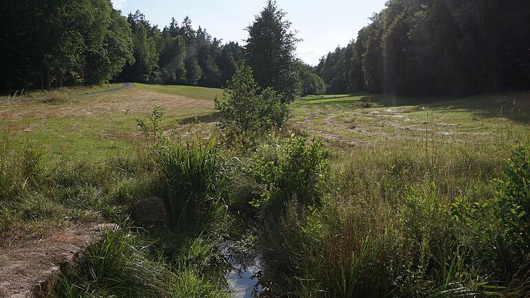 Das Krummbachtal bei Schönau: Die beiden Eigenjagdreviere der Gemeinde werden hier durch einen schmalen Streifen entlang des Baches durchschnitten, der zum Gemeinschaftsjagdrevier Süd gehört.