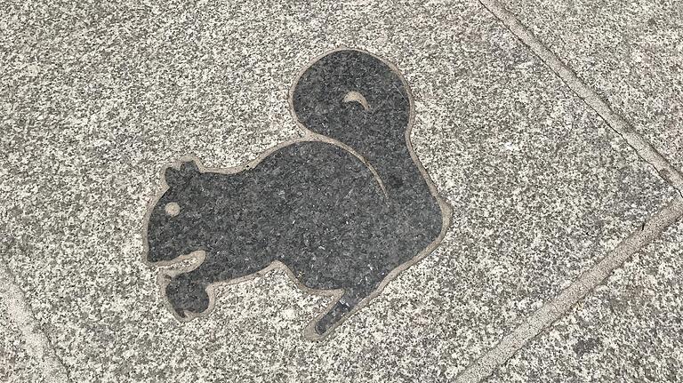 Symbolhafte Straßenschilder: die Eichhörnchen im Pflaster. Symbolhafte Straßenschilder: die Eichhörnchen im Pflaster. 