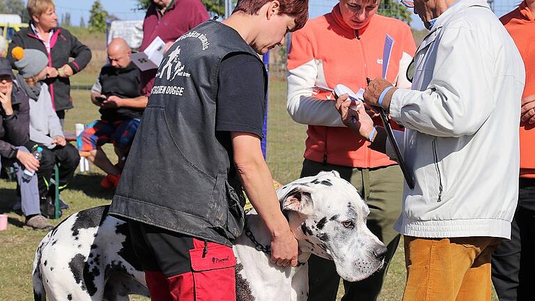 Am Anfang steht die Unbefangenheitsprüfung, die Leistungsrichter Stefanie Hänisch und Franz Breitsamer bei jedem teilnehmenden Hund durchführen.