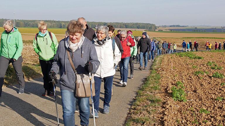 Die Wandergruppe aus DJK-Vereinen in ganz Unterfranken bei ihrer Runde durch die Flur und den Wald von Riedenheim und Schönstheim.