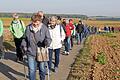 Die Wandergruppe aus DJK-Vereinen in ganz Unterfranken bei ihrer Runde durch die Flur und den Wald von Riedenheim und Schönstheim.