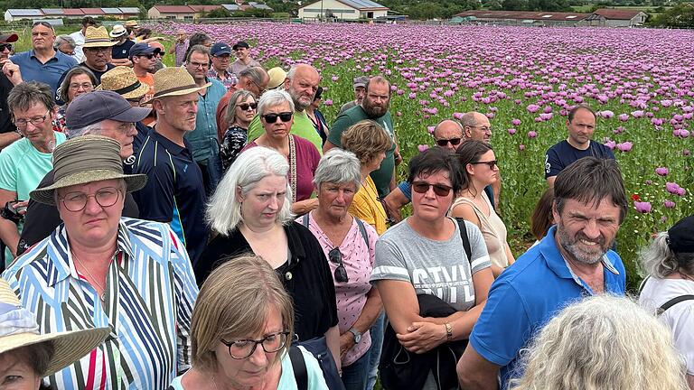 Das Mohnblütenfest&nbsp; lockte zahlreiche Besucherinnen und Besucher nach Zellingen.&nbsp;