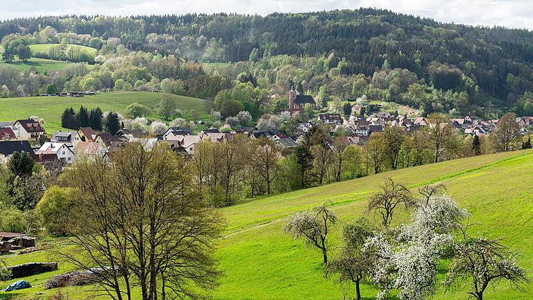 Auf der Gemarkung Neuhütten gibt es kein Kernzonenpotenzial für eine Biosphärenregion.&nbsp;