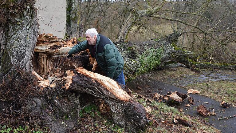 Dem Sturm 'Ylenia' ist ein 350 Jahre alter Baum zum Opfer gefallen und knapp an der Kapelle vorbei umgestürzt. Nachbar Günther Werner inspizierte den Schaden. Dem Sturm 'Ylenia' ist ein 350 Jahre alter Baum zum Opfer gefallen und knapp an der Kapelle vorbei umgestürzt. Nachbar Günther Werner inspizierte den Schaden.