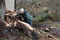 Dem Sturm 'Ylenia' ist ein 350 Jahre alter Baum zum Opfer gefallen und knapp an der Kapelle vorbei umgestürzt. Nachbar Günther Werner inspizierte den Schaden.