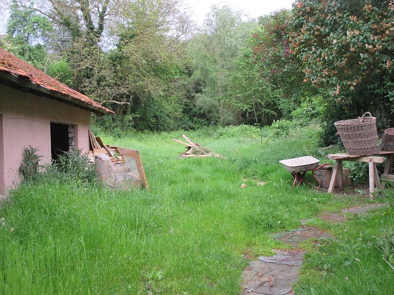 An dieser Stelle an der Thomas-Klingg-Steige im Todsgraben in Königsberg soll ein neues Naturparkzentrum gebaut werden. Den Standort halten etliche Königsberger für ungeeignet und strengen daher ein Bürgerbegehren an, um den Bau dort zu verhindern.