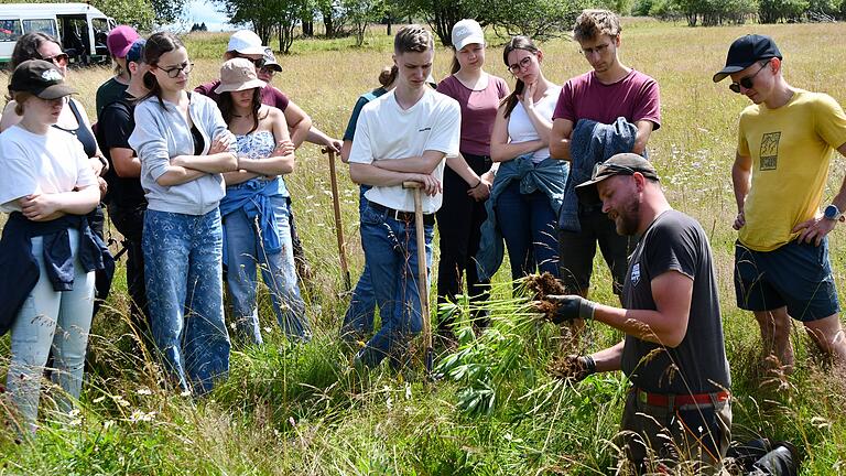Kampf gegen Lupinen in der Rhön - Das ist die Wurzel des Übels: Philipp Frickel gibt Tipps zum richtigen Ausstechen. Kampf gegen Lupinen in der Rhön - Das ist die Wurzel des Übels: Philipp Frickel gibt Tipps zum richtigen Ausstechen.