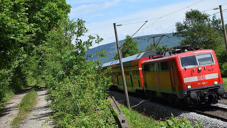 Der Weg zugewuchert und Bäume, die auf die Gleise stürzen könnten: Dass entlang der Bahnstrecke zwischen Sackenbach und Neuendorf stellenweise Handlungsbedarf besteht, ist offensichtlich. Doch die Eigentumsverhältnisse machen die Sache kompliziert.