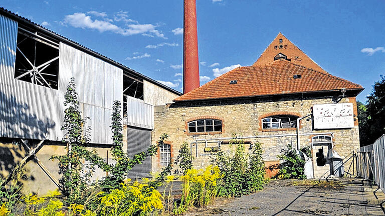 Industriebrache: Unberührt ist seit 15 Jahren die ehemalige Produktionsstätte der Saftfabrik Bayla in Heidingsfeld. Industriebrache: Unberührt ist seit 15 Jahren die ehemalige Produktionsstätte der Saftfabrik Bayla in Heidingsfeld.