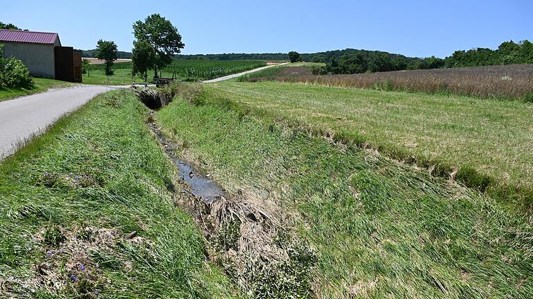 Niedergedrücktes Gras zeugt noch von dem Hochwasser der vergangenen Woche. Normalerweise&nbsp; führt der Bach im Sichelsgrund im Sommer kaum genügend Wasser, um sich die Füße darin zu waschen.