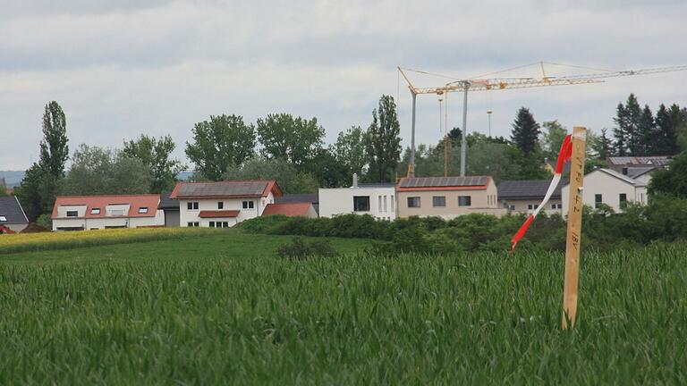 Der Holzpfosten im Feld markiert den geplanten Standort eines Windrads im Windkraft-Vorbehaltsgebiet WK 61. Im Hintergrund des Bildes, das im Mai entstand, ist das Baugebiet Am Nützelbach II in Gerolzhofen zu sehen. Der Holzpfosten im Feld markiert den geplanten Standort eines Windrads im Windkraft-Vorbehaltsgebiet WK 61. Im Hintergrund des Bildes, das im Mai entstand, ist das Baugebiet Am Nützelbach II in Gerolzhofen zu sehen.