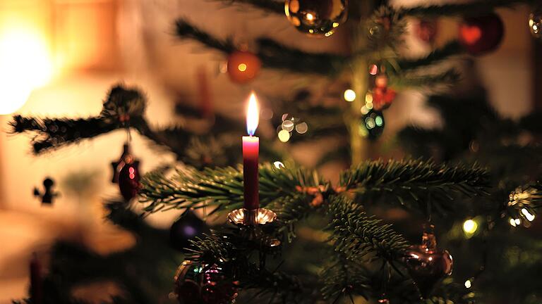 Weihnachtsbaum       -  Eine Kerze brennt an einem festlich geschmückten Weihnachtsbaum.