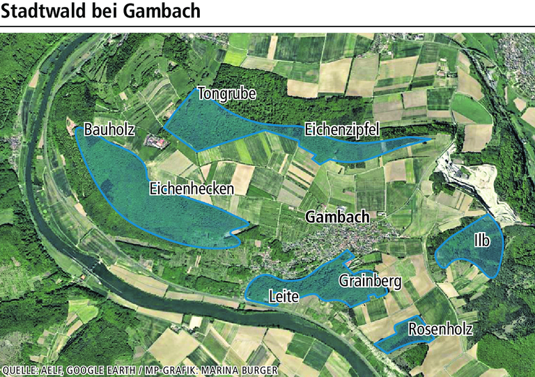 Bei Gambach beginnt das Spessartflair Bei Gambach beginnt das Spessartflair