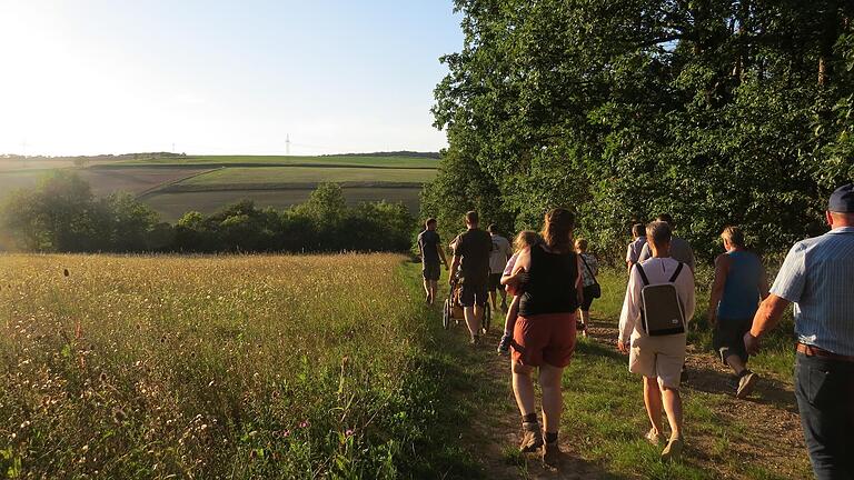 Der Landschaftspflegeverband Main-Spessart und die ILE Main-Werntal luden zu einem Ackerspaziergang mit 'Blick über den Ackerrand' in Obersfeld ein.