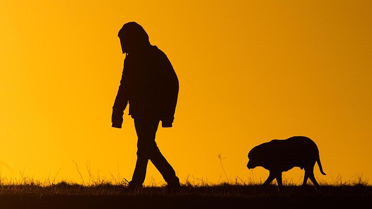 Herr oder Frau und Hund. Das kann eine Traumkombination sein, die alle Beteiligten glücklich macht. In jedem Fall bedeutet das Halten eines Vierbeiners auch Verantwortung gegenüber der Allgemeinheit. Da hapert es bei manchem Besitzern ein wenig.