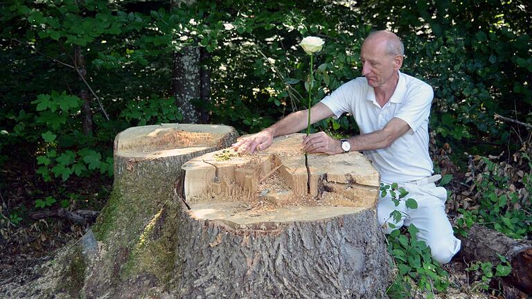 Joachim Galuska an einem Baumstumpf im 'Wald für die Seele'.Peter Rauch       -  Joachim Galuska an einem Baumstumpf im 'Wald für die Seele'.Peter Rauch