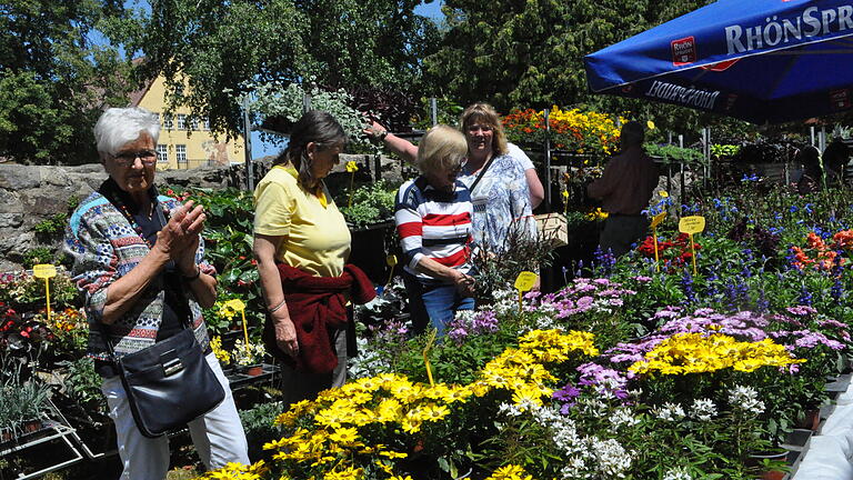 Impressionen vom  Ostheimer Blumenmarkt.