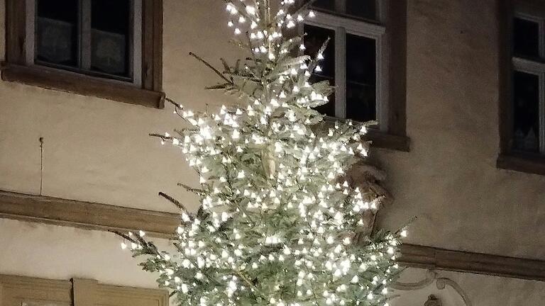 Der Christbaum erstrahlt in hellem Glanz vor dem Anwesen des Chorleiters. Der Christbaum erstrahlt in hellem Glanz vor dem Anwesen des Chorleiters.