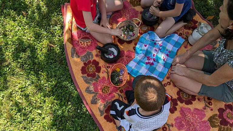 Bunte Vielfalt von Blüten und Kräutern bei der Herstellung eines eigenen Kräutersalzes.