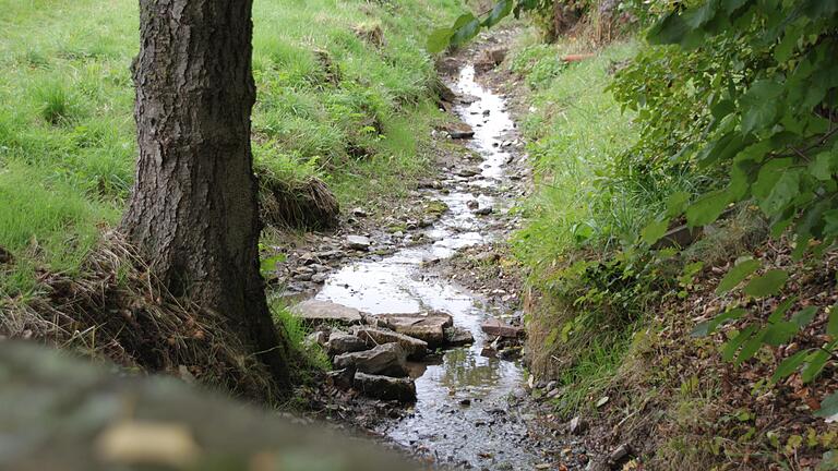 Hinter den Häusern der äußeren Gartenstraße ist aus dem ehemals stetig fließenden Erlenbach ein schmales Rinnsal geworden. Forellen gibt es dort keine mehr. Hinter den Häusern der äußeren Gartenstraße ist aus dem ehemals stetig fließenden Erlenbach ein schmales Rinnsal geworden. Forellen gibt es dort keine mehr.