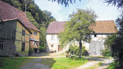 Mühle Nummer zwei: In drei bis vier Jahren sollen sich in dem 300 Jahre alten Anwesen Seemühle in Gräfendorf Touristen erholen. Mühle Nummer zwei: In drei bis vier Jahren sollen sich in dem 300 Jahre alten Anwesen Seemühle in Gräfendorf Touristen erholen.