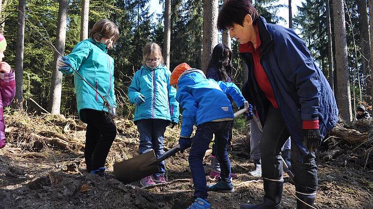 Drittklässler der Grundschule Maroldsweisach packten mit an bei der Pflanzaktion am neuen Biotop in der Waldabteilung &bdquo;Bauholz&ldquo;, zur Einweihung von vier neuen Biotopen im Gemeindewald Ermershausen. Gerlinde Döhler, langjährige Mitarbeiterin im Pflanztrupp der Gemeinde, leistete tatkräftige Unterstützung.