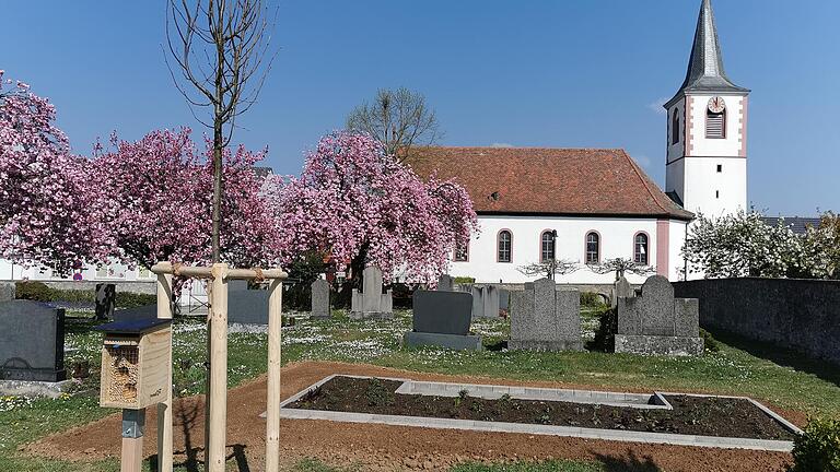 Positiv wirkt sich der neue 'Lieblingsplatz' auf das Erscheinungsbild des Alten Friedhofes aus, findet Bürgermeister Klaus Schmidt. Baum und Sträucher sind ein Geschenk des Landkreises anlässlich des 50-jährigen Bestehens des Landkreises in diesem Jahr.