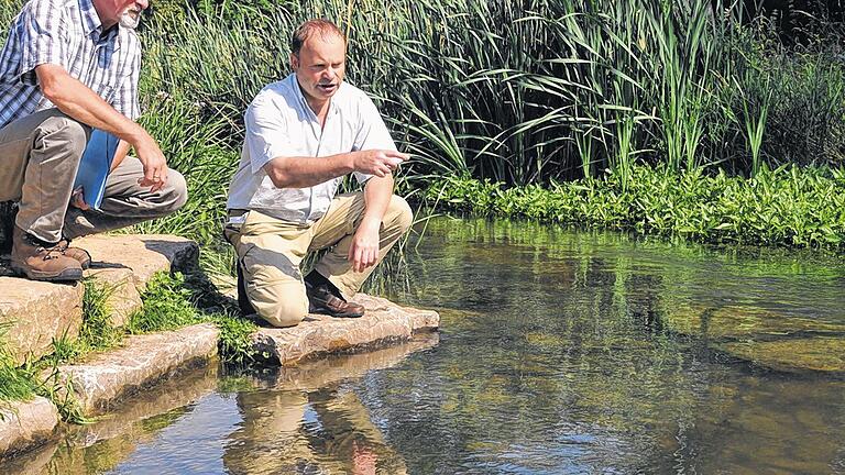 Natur von Menschenhand: Landschaftspfleger Joachim Pfeifer (links) und Fischereifachberater Wolfgang Silkenat am Umgehungsgerinne Randersacker, das zu einem üppigen Biotop geworden ist.