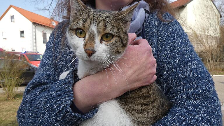 Katze Lily überstand den Brand unverletzt. Eine weitere Katze und zahlreiche Ziervögel hatten weniger Glück.