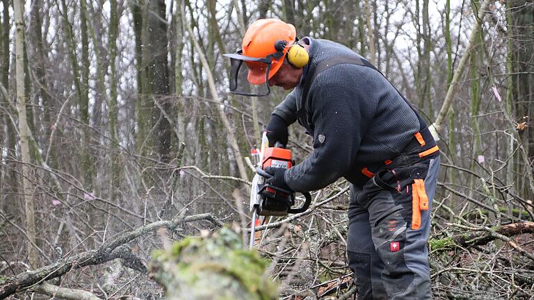 Mit der kalten Jahreszeit geht auch die Arbeit im Wald wieder los. Bei Holzstrichen können Bürgerinnern und Bürger Brennholz ersteigern.&nbsp;