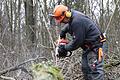 Mit der kalten Jahreszeit geht auch die Arbeit im Wald wieder los. Bei Holzstrichen können Bürgerinnern und Bürger Brennholz ersteigern.&nbsp;