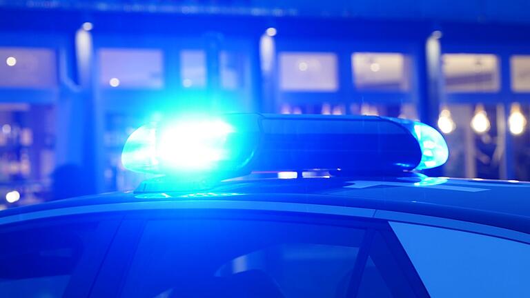 Ein Streifenwagen der Polizei mit eingeschaltetem Blaulicht       -  Eine 42 Jahre alte Beifahrerin kam ums Leben. (Illustration)