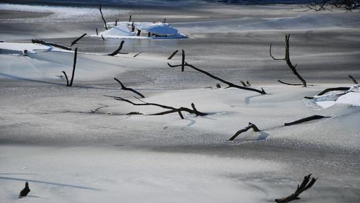 Kuriose Eiskreationen entstehen durch den sinkenden Wasserpegel des 'toten Weihers' zwischen Birklingen und Iphofen.