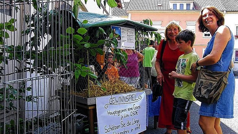 Vereine machen mit: Die Kleintierzüchter präsentierten beim &bdquo;Schnaidmart&ldquo; ihre Tiere und lockten mit einem Gewinnspiel.