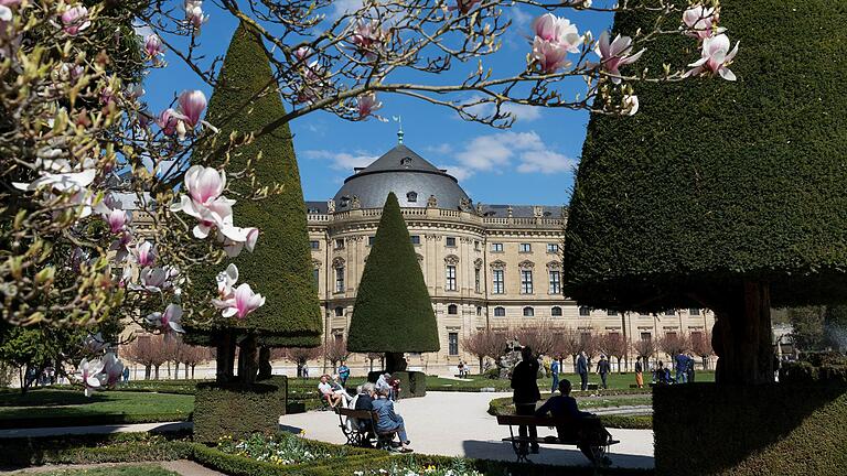 Im Frühling blühen im Hofgarten der Residenz die Magnolien.