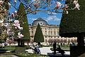 Im Frühling blühen im Hofgarten der Residenz die Magnolien.