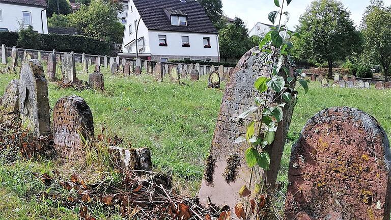 Welche die ältesten Grabsteine auf dem jüdischen Friedhof Pfaffenhausen sind, weiß heute niemand mehr. Sigismund von Dobschütz       -  Welche die ältesten Grabsteine auf dem jüdischen Friedhof Pfaffenhausen sind, weiß heute niemand mehr. Sigismund von Dobschütz