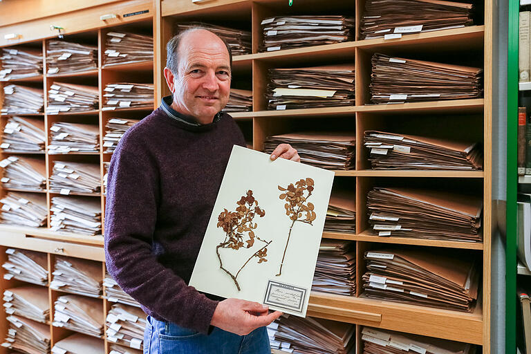 Begeistert vom Sammeleifer und von der Gärtnerkunst vor 200 Jahren: Dr. Gerd Vogg, Kustos des Botanischen Gartens, wacht über das Herbarium.&nbsp;&nbsp;