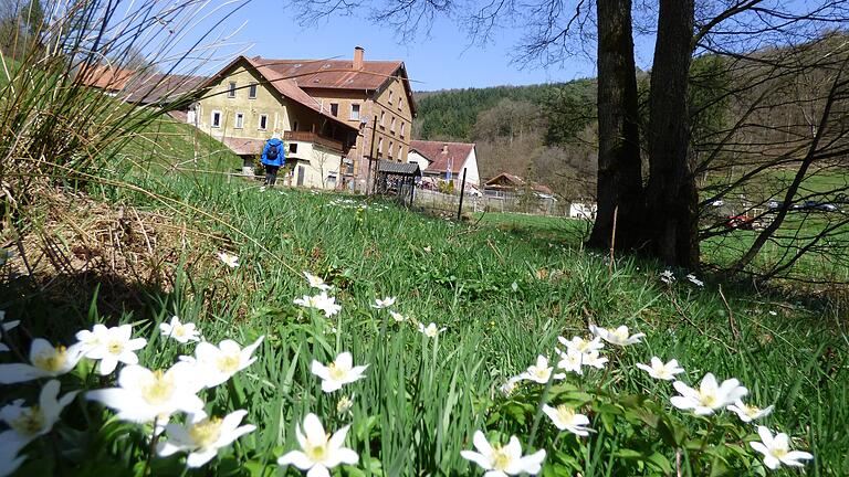 Ein beliebtes Wanderziel ist der Mühlengrund zwischen Esselbach und Schollbrunn.