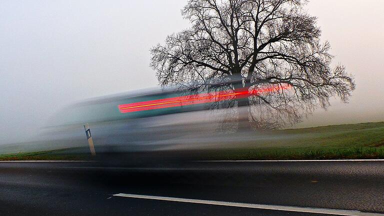 Auf der Kreisstraße zwischen Hohnhausen und Bischwind am Raueneck überfuhr ein Unbekannter eine laut Polizei trächtige Hündin. (Symbolbild)