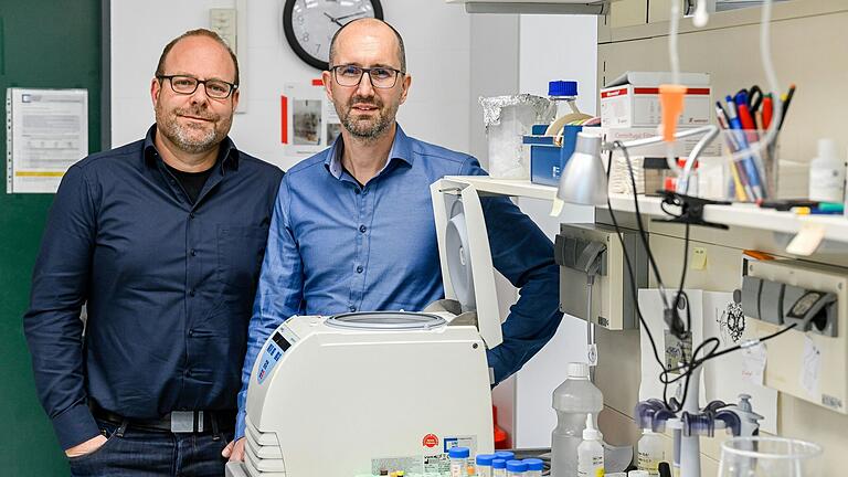 Sind Inhaber der beiden Lehrstühle für Systemimmunologie an der Uni Würzburg und Leiter der Max-Planck-Forschungsgruppe: Prof. Georg Gasteiger (links) und Prof. Wolfgang Kastenmüller.