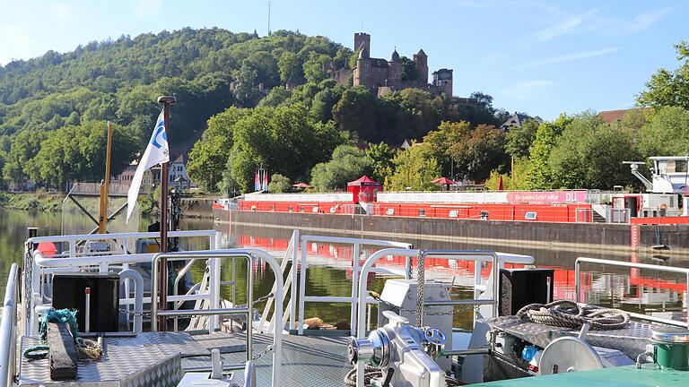 Der Zuständigkeitsbereich der Außenstelle Hasloch reicht bis zur Schleuse in Freudenberg (Lkr. Miltenberg). Im Bild: Das Wertheimer Schloss.