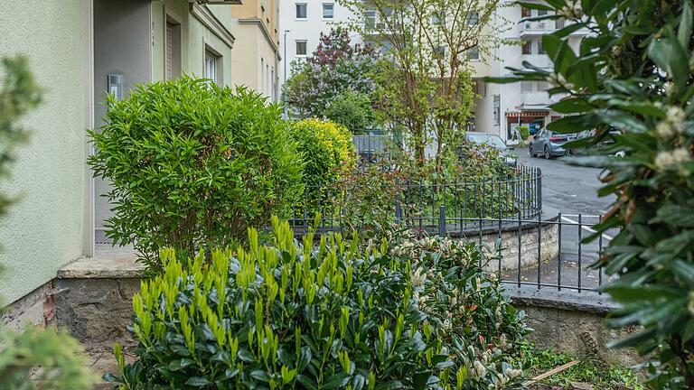 Blick in den Vorgarten des Hauses in der Straße Theodor-Körner-Straße 4 in Würzburg mit Bäumen, Büschen und wild gewachsener Wiese.