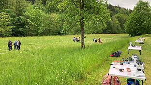 Schüler erforschen im 'Umweltlabor Wiese' das Ökosystem ihrer heimischen Natur.&nbsp;