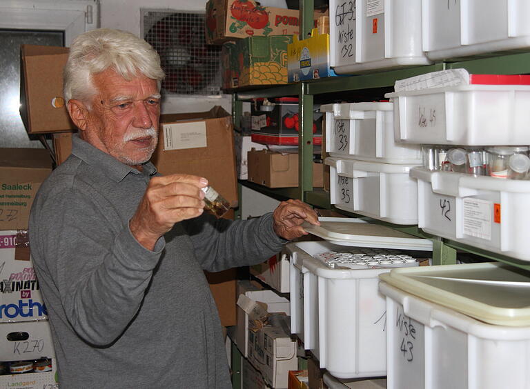 Der Vorsitzende des Instituts für Biodiversitätsinformation, Klaus Mandery, ist der Entdecker der kleinen Wanze.