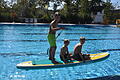 Im Schwimmerbecken hatte der Verein Pro Waldbad „Stand-up-paddling“ (SUP) vorbereitet. Gut 100 Badegäste wagten sich auf die bereitgestellten Boards.