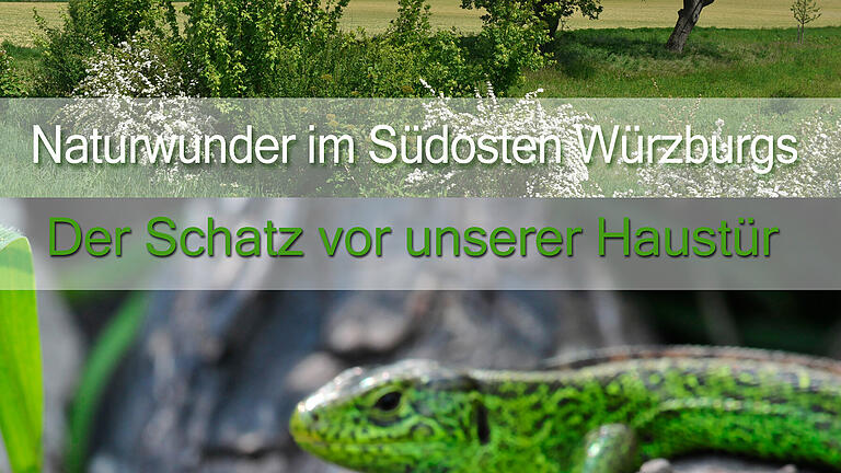 Das Buch 'Naturwunder im Södosten Würzburgs' zeigt die Schönheiten der Natur im südlichen Landkreis und im Steigerwald. Das Buch 'Naturwunder im Södosten Würzburgs' zeigt die Schönheiten der Natur im südlichen Landkreis und im Steigerwald. 