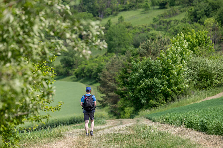 Bei der Wanderung handelt es sich um eine ideale Tour, um in der Natur die Seele baumeln zu lassen.